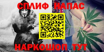 стаф Свободный