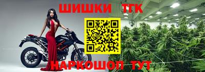 стаф Свободный