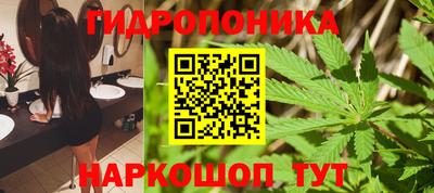 стаф Свободный