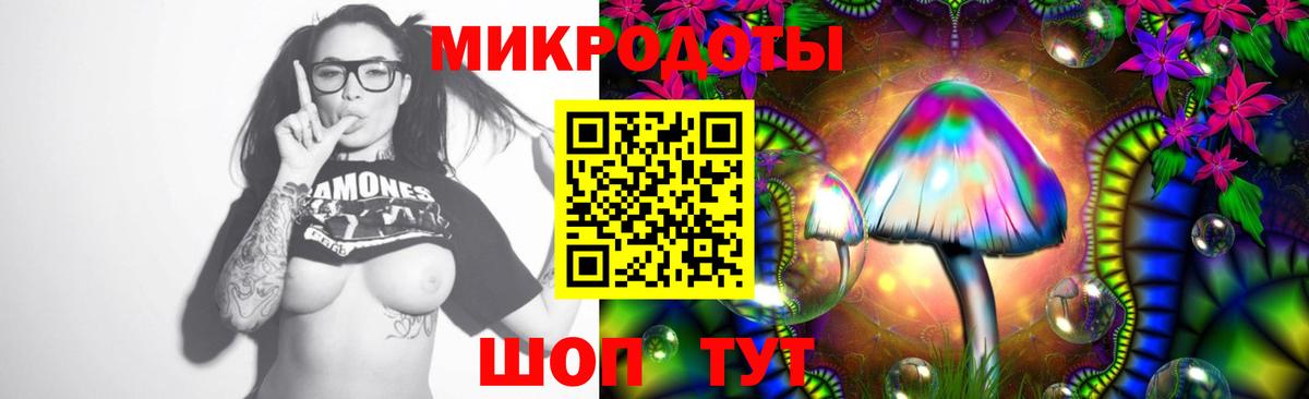 Галлюциногенные грибы ЛСД  Вход с VPN  где можно купить наркотик  Петропавловск-Камчатский 
